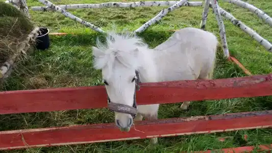 Александровский спас - 25
