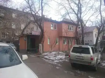 Каштан - 10