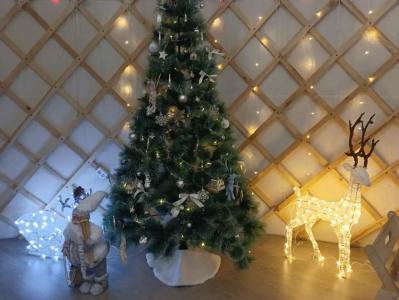 Юрта Лахти - 29