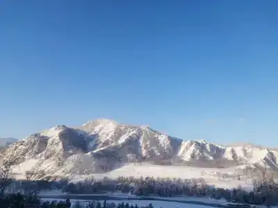 Чикмарёвых - 20
