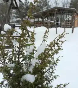 МайнДорф - Батаково - 48