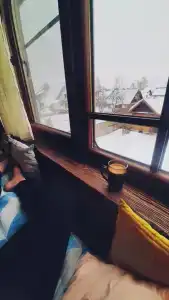 Тихий уголок - 40
