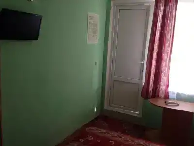 Стрижи - 7