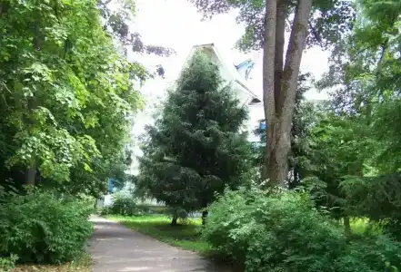 Воробьево - 29