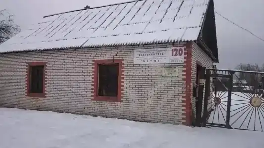 Фауна - 4