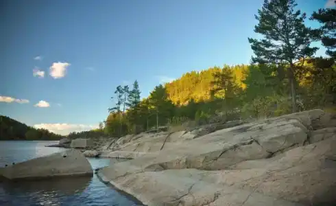 Микли-Ольгино - 30