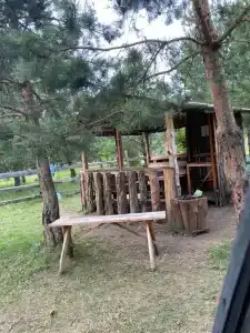 В Гостях у Репки - 5