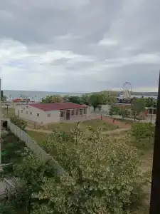 Белая волна - 42