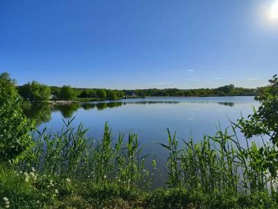 Монахов пруд - 78