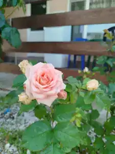 Тихая гавань - 6