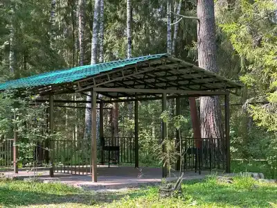 Сосновый берег - 14