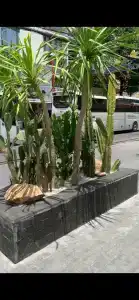 Green World Nha Trang - 44