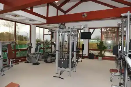 Вязовая роща - 10