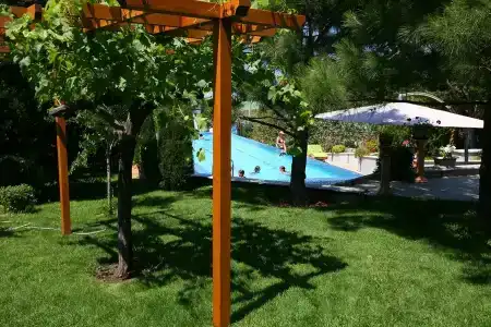 Вязовая роща - 38