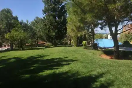 Вязовая роща - 28