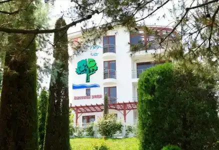 Вязовая роща - 19