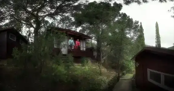 Новый Свет - 43