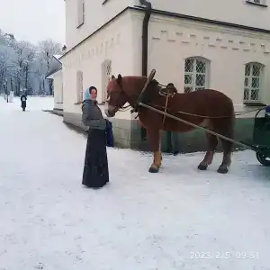 паломника № 8 - 7