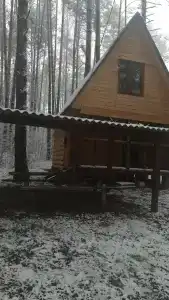 Селькин пруд - 17