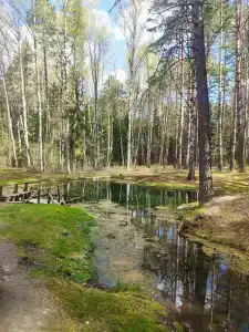 Пышкин луг - 25