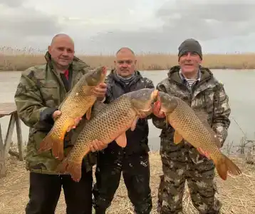 Флотраскат - 44