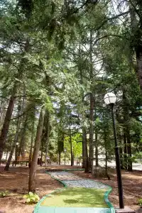 Славутич - 28