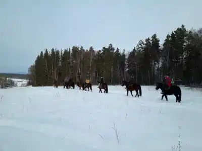 Сухов ключ - 35