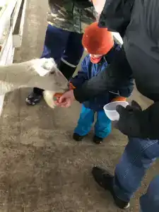 Александровский спас - 57