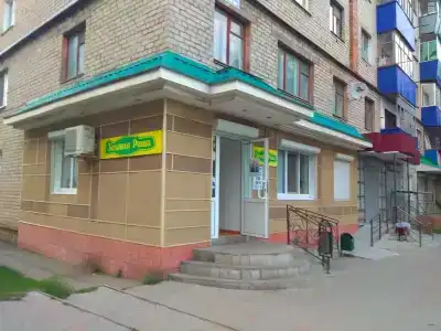 Зеленая роща - 0
