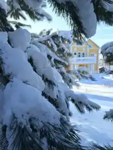Amur Resort - 10