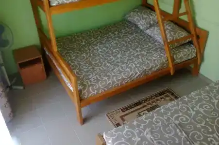 Inn Mango - 7