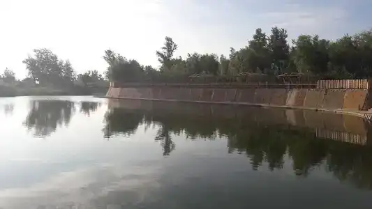 У Михалыча - 12