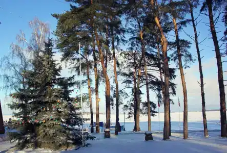 Лесная Быль - 6