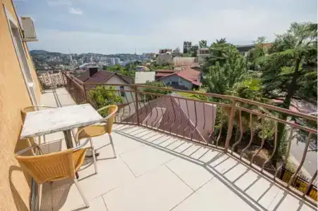 Виноград - 39