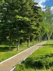 Березка - 3