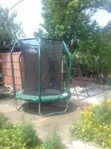 Маргарита - 5