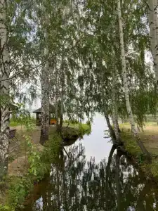 Успех - 8