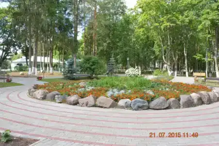 Борок - 17