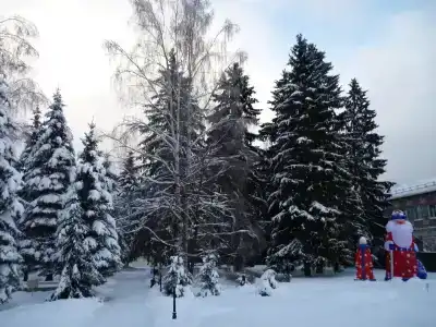 Вольгинский - 11