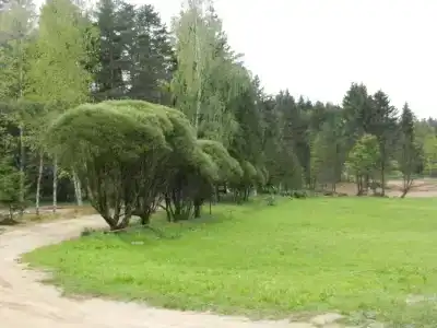 Прудок - 3