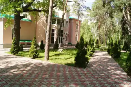 Волга - 40