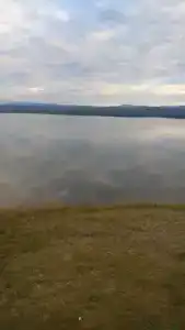 Лесные эльфы - 38
