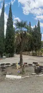 Малоречка РФ - 15