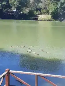 Парк Инь Янь