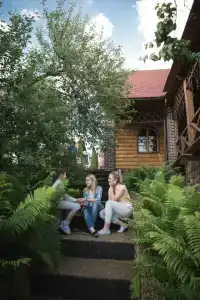 Forest river - 19