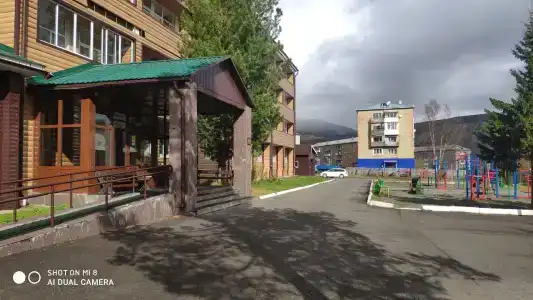 Кедр - 12