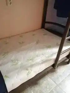 Авокадо на Смольной - 13