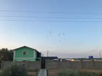 Райдом - 17