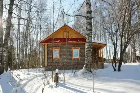Подсолнухи - 29
