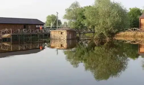 Олигри Фиш - 1
